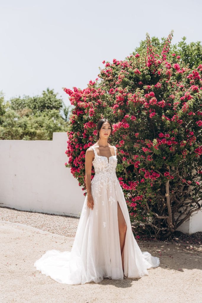 Stella York - Arizona