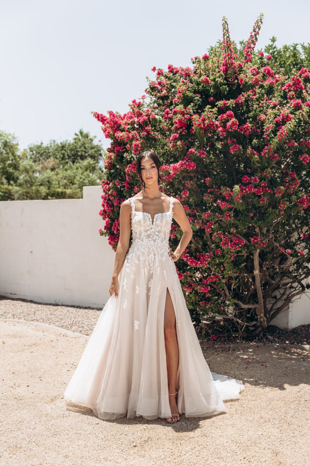 Stella York - Arizona