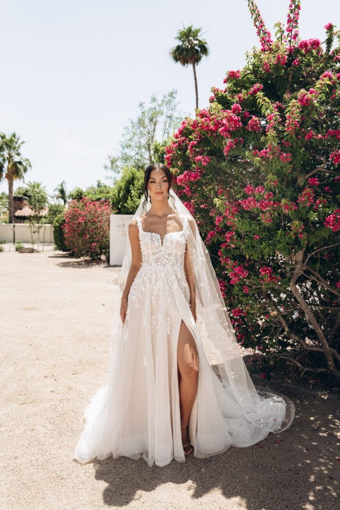 Stella York - Arizona