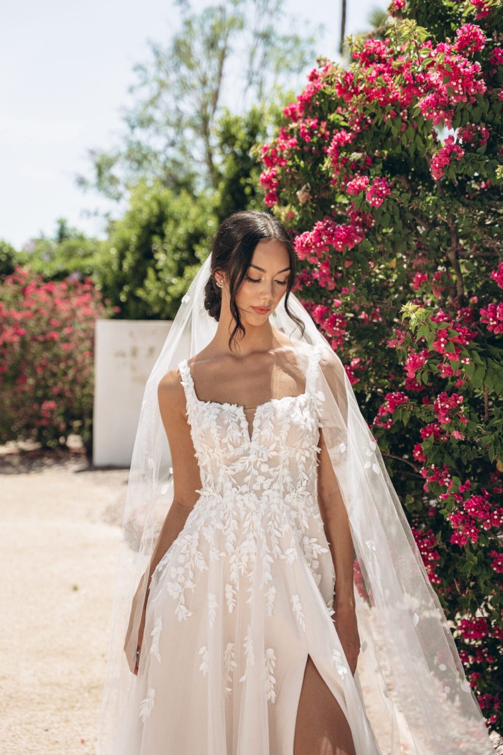 Stella York - Arizona