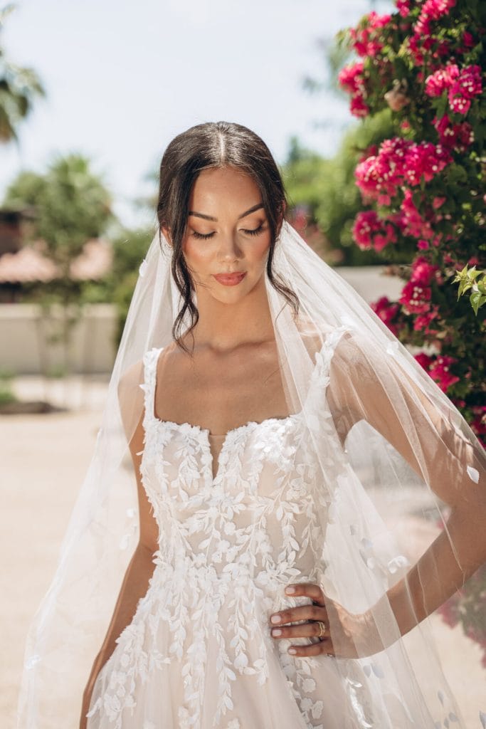 Stella York - Arizona