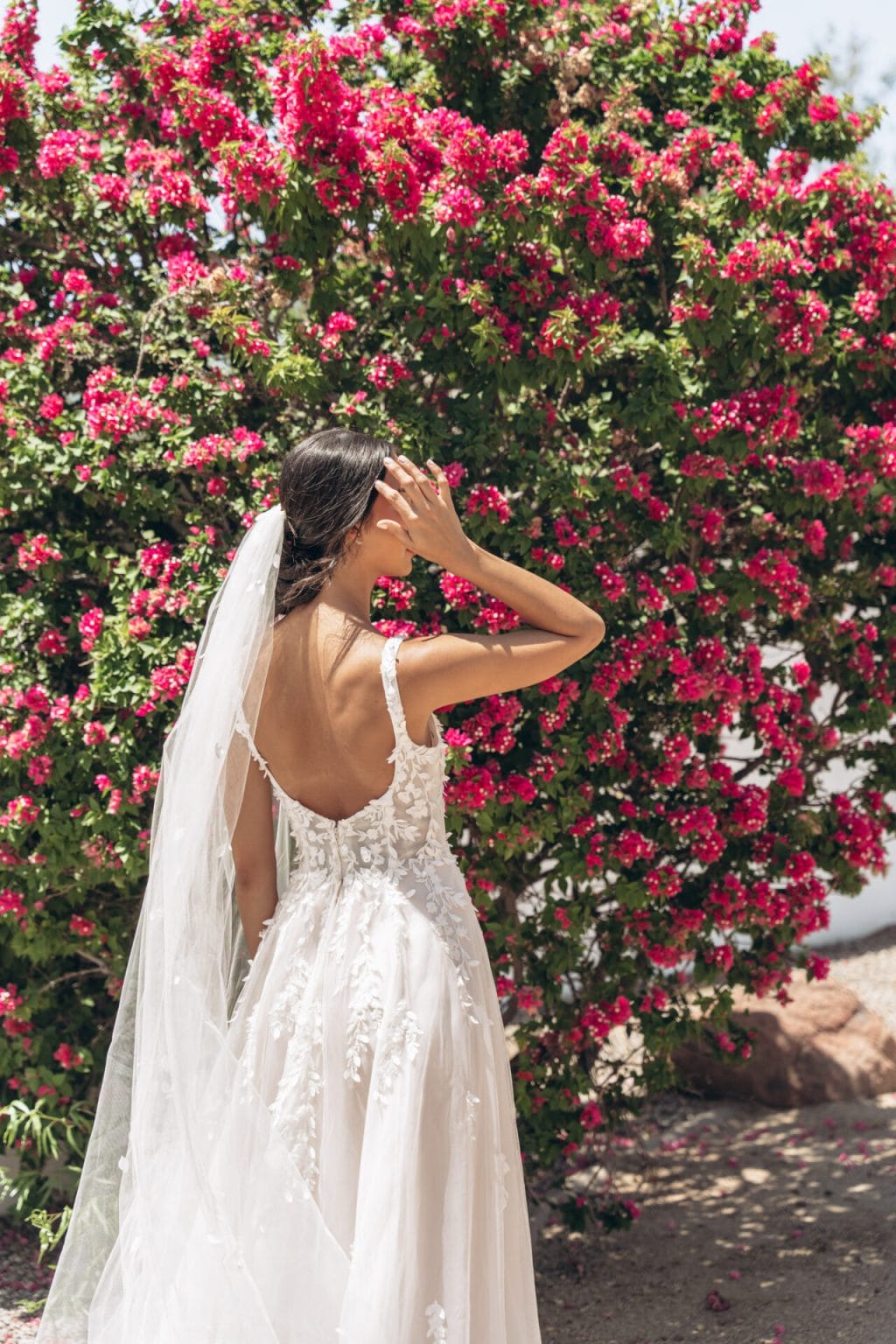 Stella York - Arizona