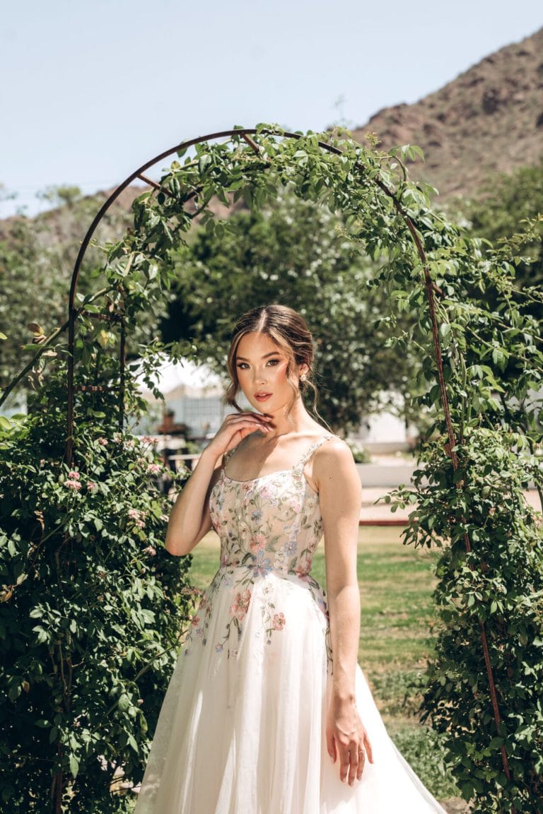 Stella York - Arizona