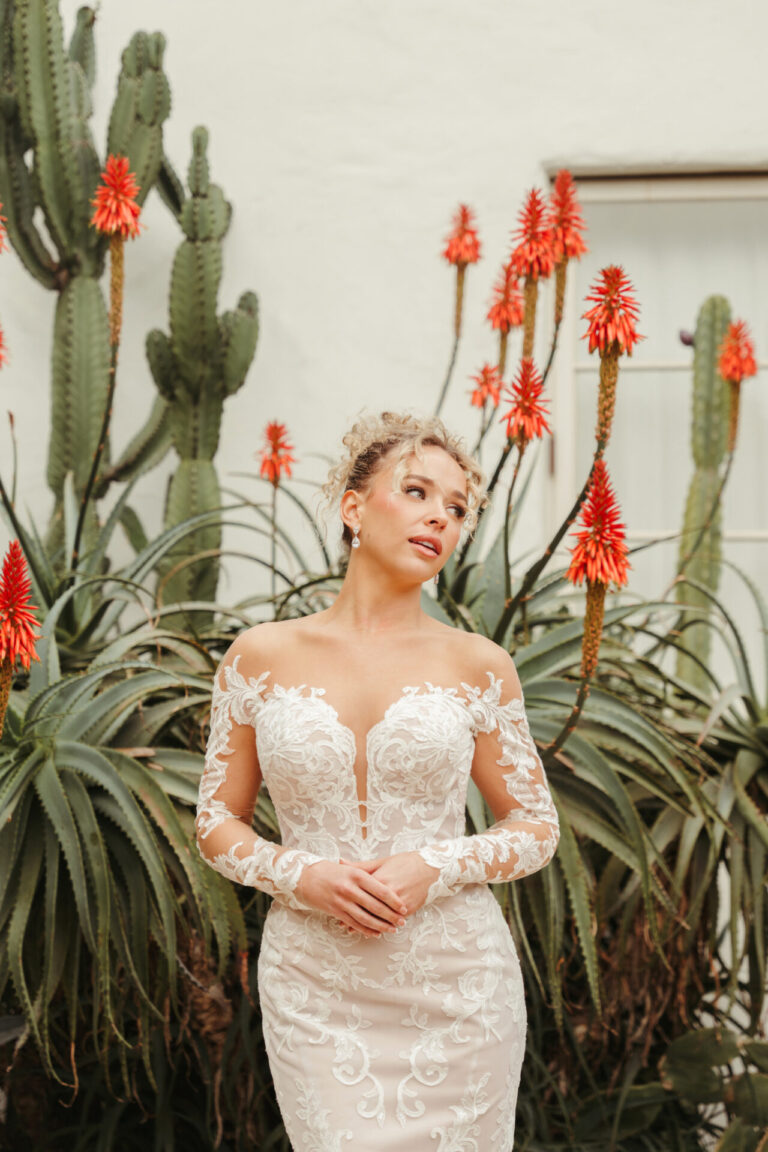 Stella York