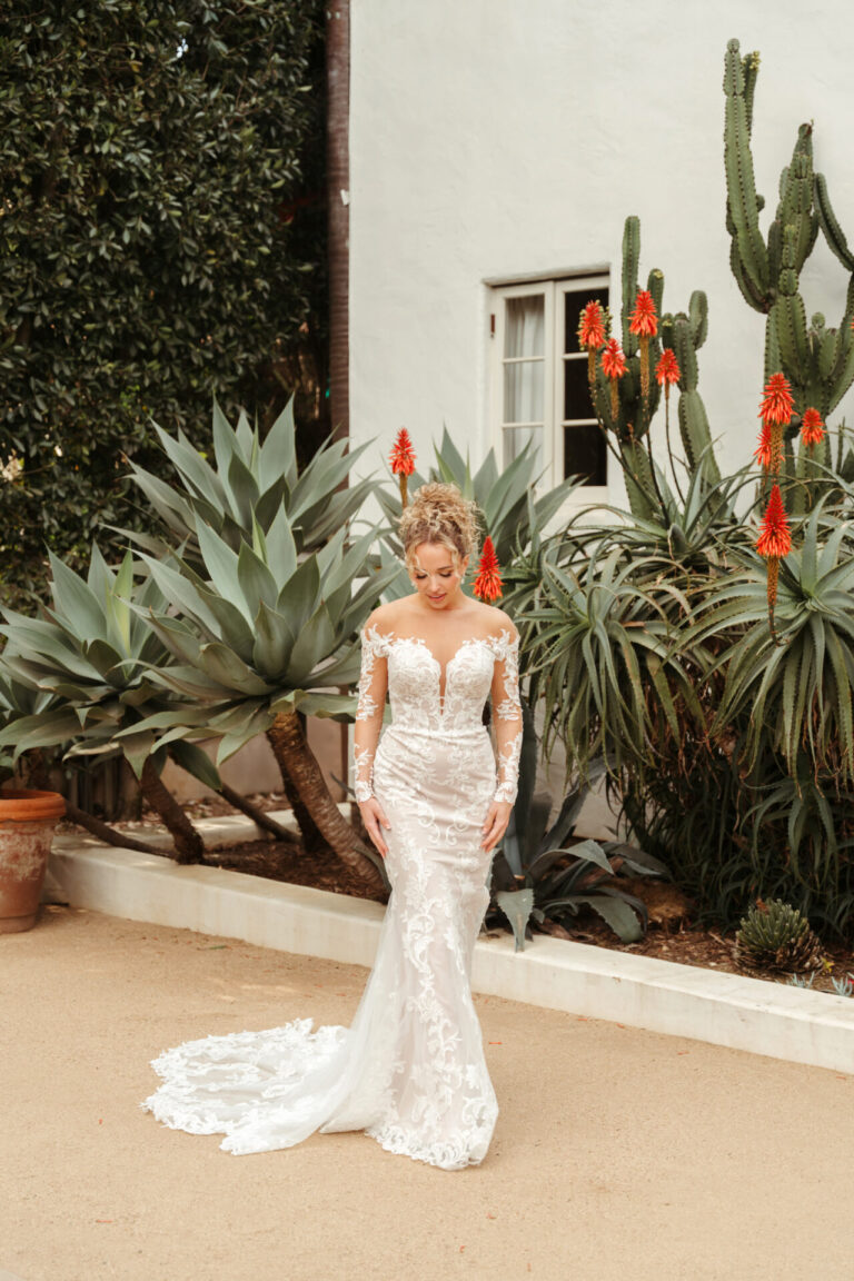 Stella York